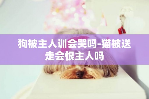 狗被主人訓會哭嗎-貓被送走會恨主人嗎