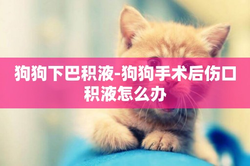 狗狗下巴積液-狗狗手術后傷口積液怎么辦