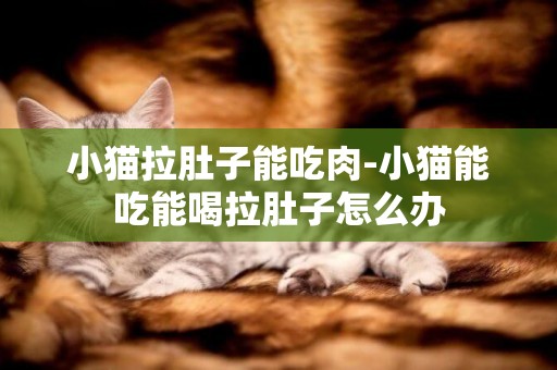 小貓拉肚子能吃肉-小貓能吃能喝拉肚子怎么辦