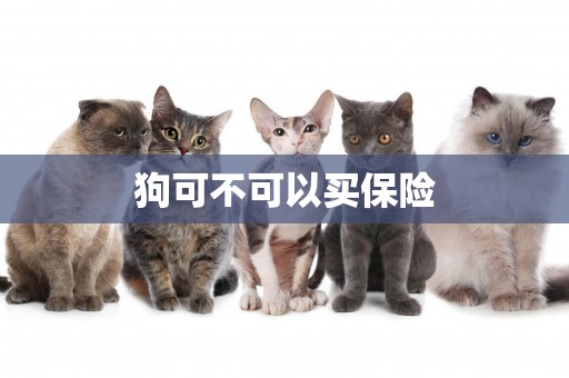 狗可不可以買保險