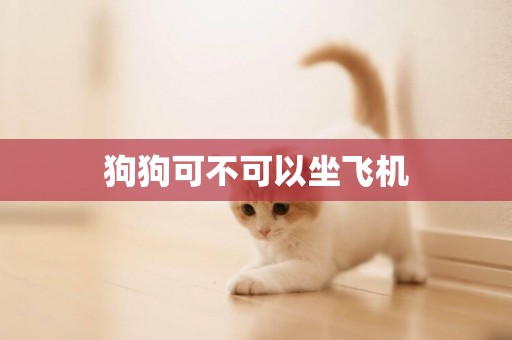 狗狗可不可以坐飛機