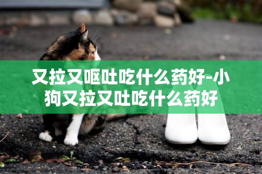 又拉又嘔吐吃什么藥好-小狗又拉又吐吃什么藥好