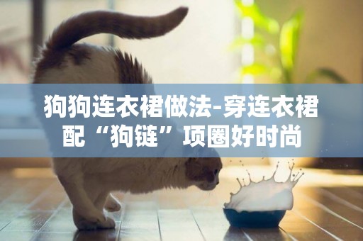 狗狗連衣裙做法-穿連衣裙配“狗鏈”項圈好時尚