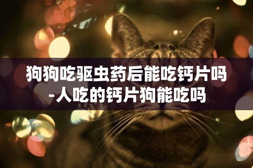狗狗吃驅蟲藥后能吃鈣片嗎-人吃的鈣片狗能吃嗎