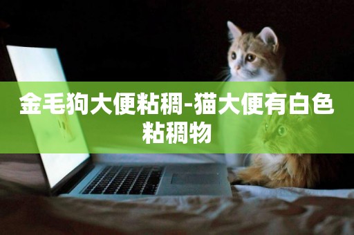 金毛狗大便粘稠-貓大便有白色粘稠物