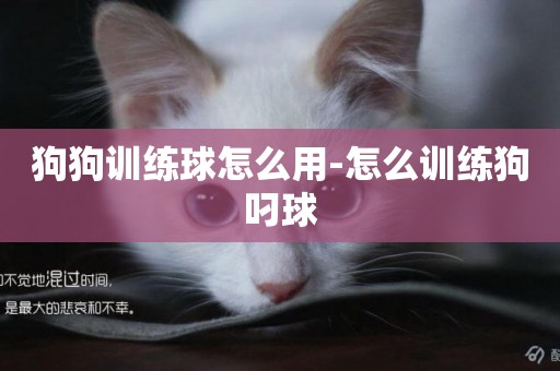 狗狗訓練球怎么用-怎么訓練狗叼球
