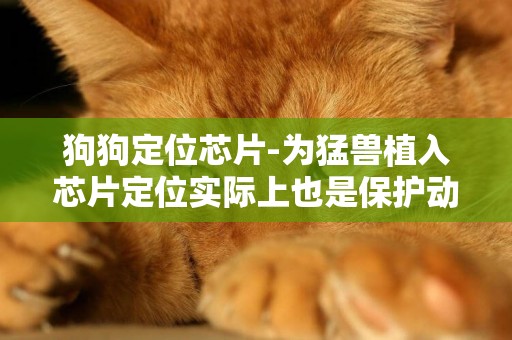 狗狗定位芯片-為猛獸植入芯片定位實際上也是保護動物