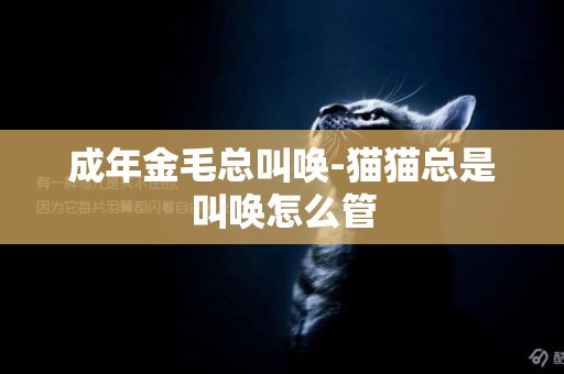 成年金毛總叫喚-貓貓總是叫喚怎么管