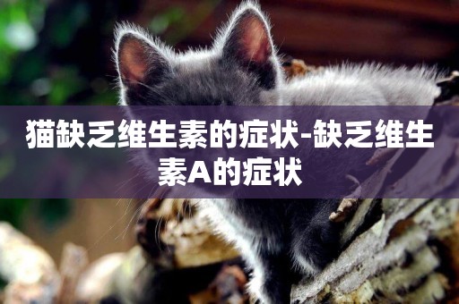 貓缺乏維生素的癥狀-缺乏維生素A的癥狀