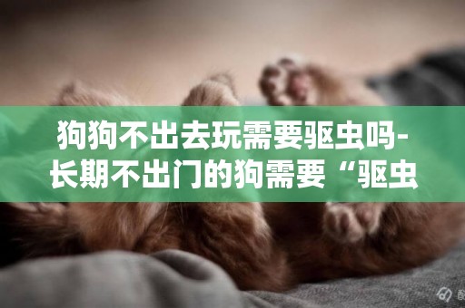 狗狗不出去玩需要驅蟲嗎-長期不出門的狗需要“驅蟲”嗎