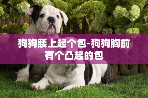 狗狗腰上起個包-狗狗胸前有個凸起的包
