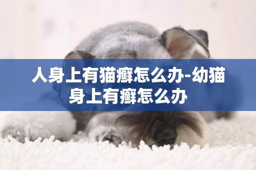 人身上有貓癬怎么辦-幼貓身上有癬怎么辦