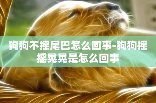 狗狗不搖尾巴怎么回事-狗狗搖搖晃晃是怎么回事