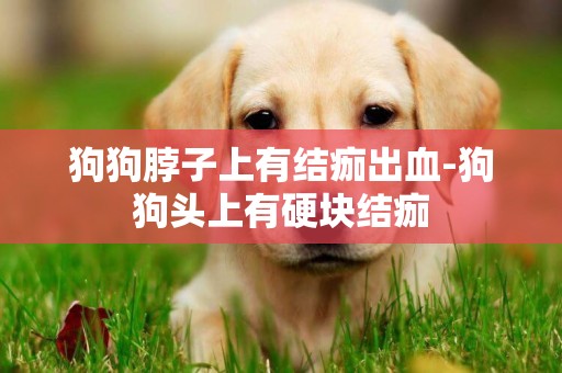 狗狗脖子上有結痂出血-狗狗頭上有硬塊結痂