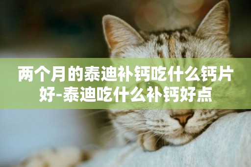 兩個月的泰迪補鈣吃什么鈣片好-泰迪吃什么補鈣好點