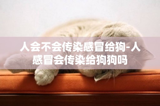 人會不會傳染感冒給狗-人感冒會傳染給狗狗嗎