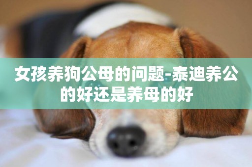 女孩養狗公母的問題-泰迪養公的好還是養母的好