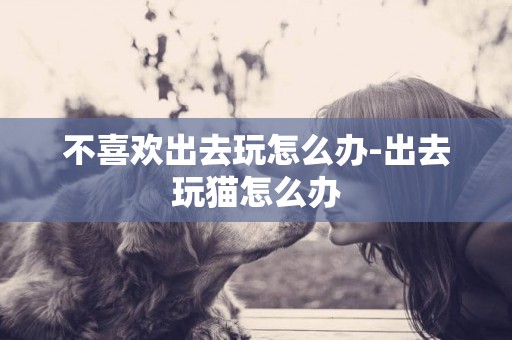 不喜歡出去玩怎么辦-出去玩貓怎么辦
