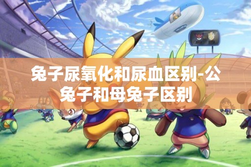 兔子尿氧化和尿血區別-公兔子和母兔子區別