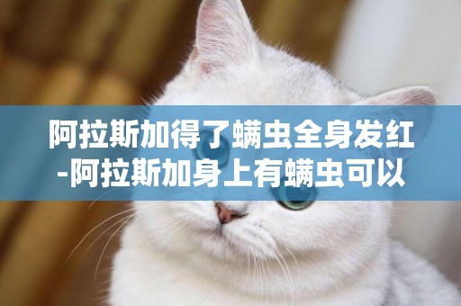 阿拉斯加得了螨蟲全身發紅-阿拉斯加身上有螨蟲可以洗澡嗎