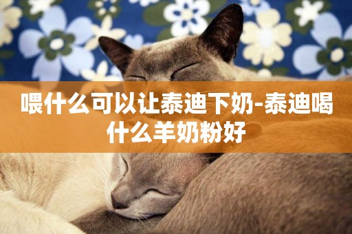 喂什么可以讓泰迪下奶-泰迪喝什么羊奶粉好