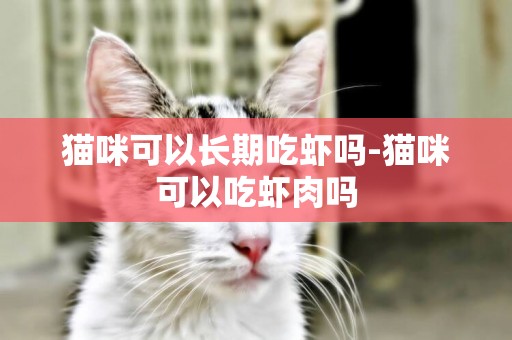 貓咪可以長期吃蝦嗎-貓咪可以吃蝦肉嗎