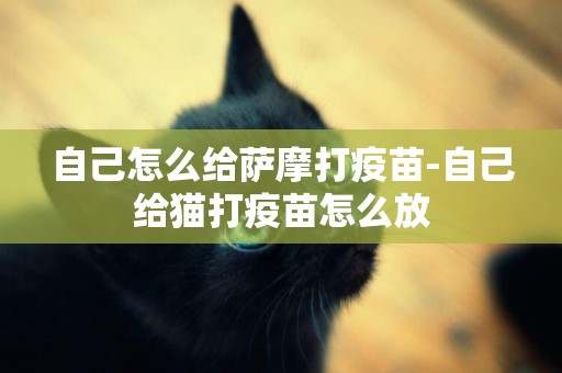 自己怎么給薩摩打疫苗-自己給貓打疫苗怎么放