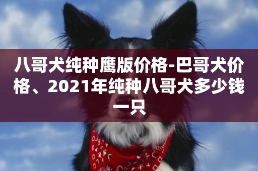 八哥犬純種鷹版價格-巴哥犬價格、2021年純種八哥犬多少錢一只