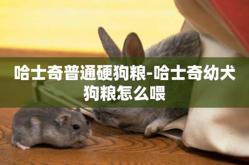 哈士奇普通硬狗糧-哈士奇幼犬狗糧怎么喂