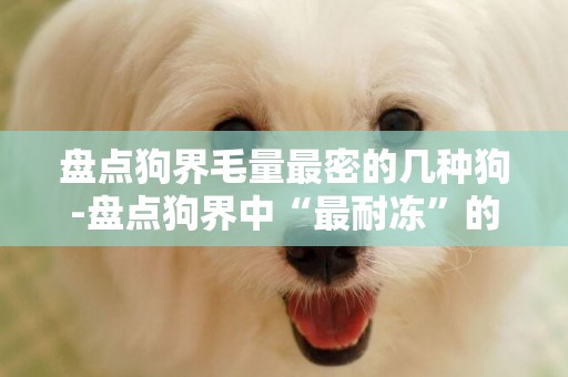 盤點狗界毛量最密的幾種狗-盤點狗界中“最耐凍”的幾種狗