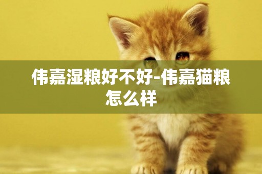 偉嘉濕糧好不好-偉嘉貓糧怎么樣