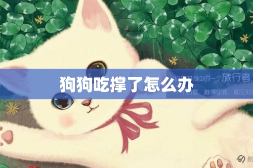 狗狗吃撐了怎么辦