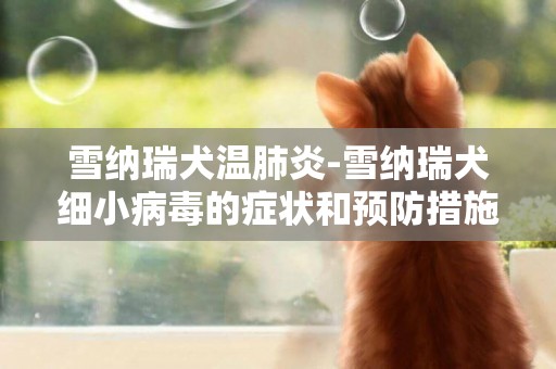 雪納瑞犬溫肺炎-雪納瑞犬細小病毒的癥狀和預防措施