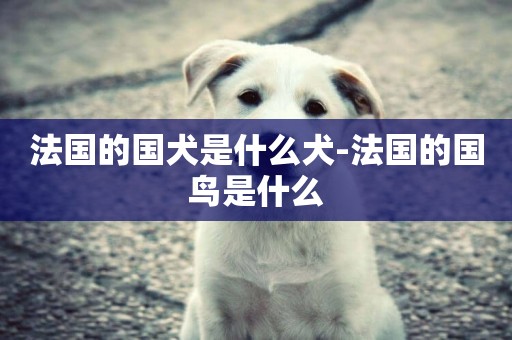 法國的國犬是什么犬-法國的國鳥是什么