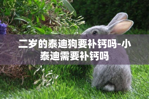 二歲的泰迪狗要補鈣嗎-小泰迪需要補鈣嗎