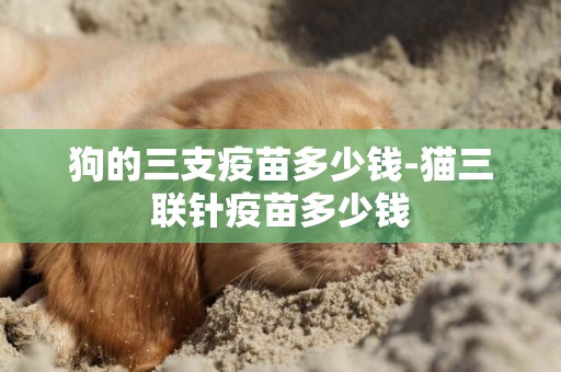 狗的三支疫苗多少錢-貓三聯針疫苗多少錢