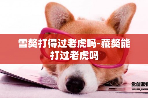 雪獒打得過老虎嗎-藏獒能打過老虎嗎