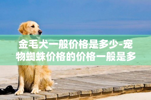 金毛犬一般價格是多少-寵物蜘蛛價格的價格一般是多少
