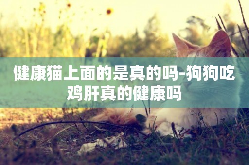 健康貓上面的是真的嗎-狗狗吃雞肝真的健康嗎