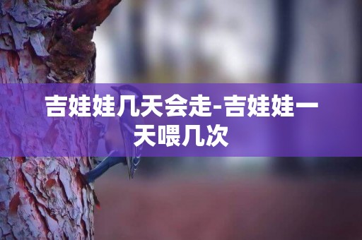 吉娃娃幾天會走-吉娃娃一天喂幾次