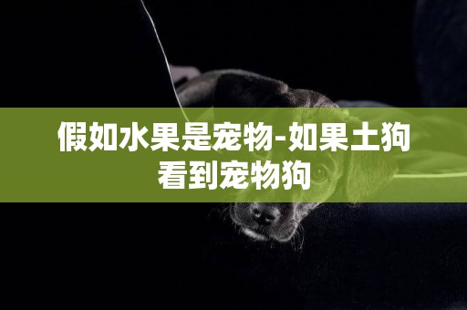 假如水果是寵物-如果土狗看到寵物狗