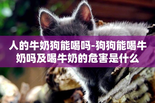 人的牛奶狗能喝嗎-狗狗能喝牛奶嗎及喝牛奶的危害是什么