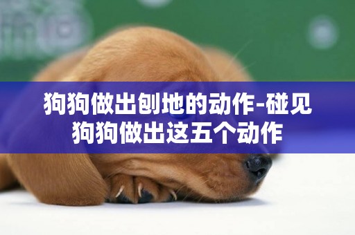 狗狗做出刨地的動作-碰見狗狗做出這五個動作