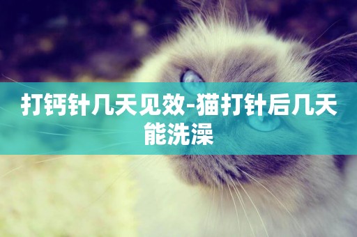 打鈣針幾天見效-貓打針后幾天能洗澡