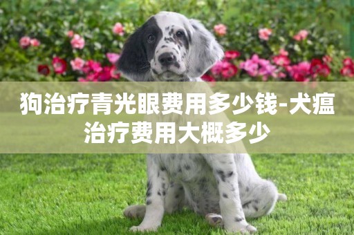 狗治療青光眼費用多少錢-犬瘟治療費用大概多少