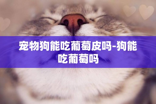 寵物狗能吃葡萄皮嗎-狗能吃葡萄嗎
