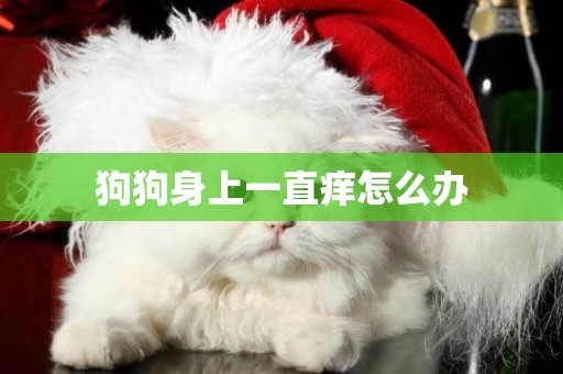 狗狗身上一直癢怎么辦