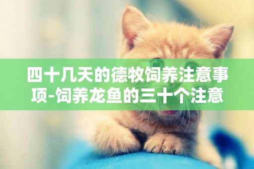 四十幾天的德牧飼養注意事項-飼養龍魚的三十個注意事項