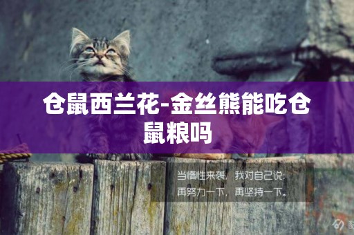 倉鼠西蘭花-金絲熊能吃倉鼠糧嗎