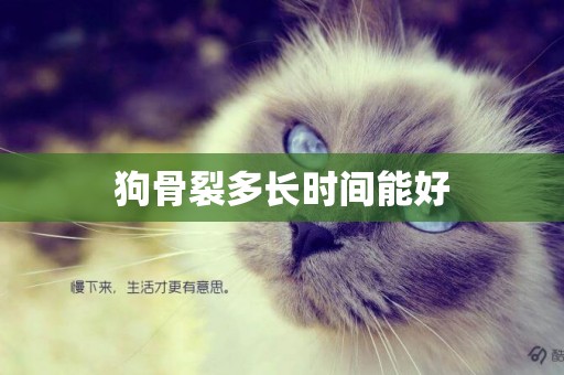 狗骨裂多長時間能好
